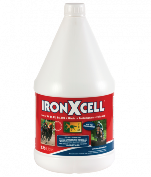 TRM Ironxcell 3.75L