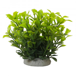 NOBBY Akvārija dekors "LUDWIGIA GREEN"
