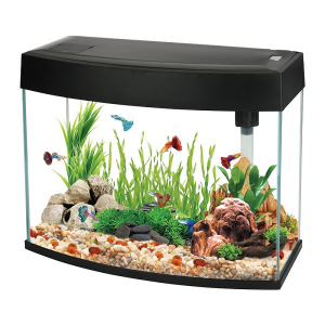  Akvārijs AA Aquarium AA370LGC