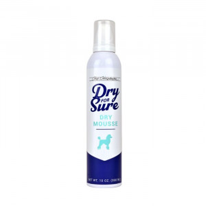 Chris Christensen Dry For Sure Mousse 300ml
