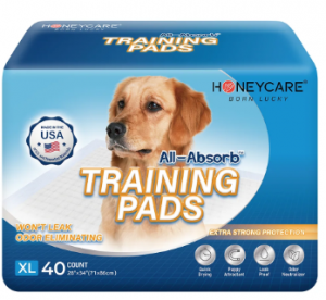 Honeycare Pet Pad 71x86cm 40
