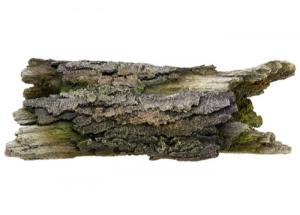 Nobby Akvārija dekors WOOD