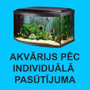 Akvārijs pēc individuālā pasūtījuma