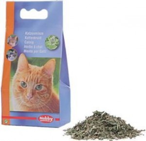 Nobby Catnip kaķumētra 25g