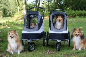 InnoPet Sporty Dog Trailer DeLuxe - Black/Silver
