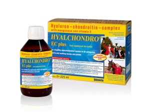 Hyalchondro EC plus 2x225ml