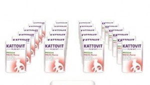 Kattovit Niere/Renal Pute 24 x 85g