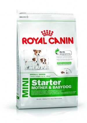 Royal Canin SHN Mini Starter 1 kg