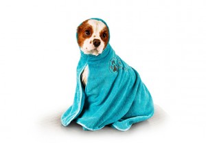 Show Tech+ Dry Dude Turquoise Pet Towel For Dogs And Cats , S - Mikrošķiedru dvielis ar izšuvumiem ar kapuci ,tirkīza krāsā