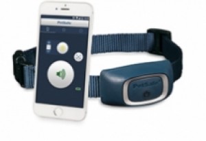 PetSafe SmartDog dresūras sistēma 70m