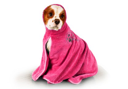 Show Tech+ Dry Dude Intermediate Hot Pink Pet Towel For Dogs And Cats , Show tech mikrošķiedru dvielis ar izšuvumiem ar kapuci ,Rozā