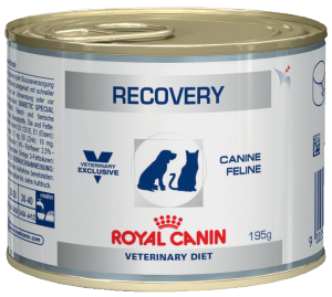 Royal Canin Recovery Wet Cat/Dog 195g