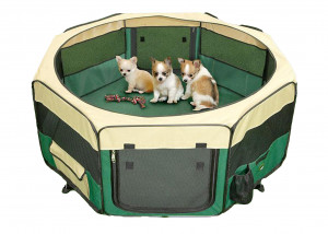 Show Tech Pet Play Park Green - 8x37cmBx37cmH Pen For Puppies Sēta Kucēniem