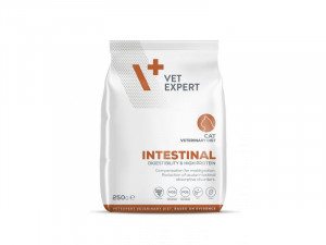 4T Veterinary Diet Cat Intestinal 250g