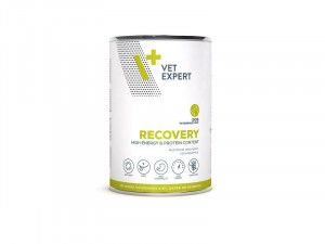 4T Veterinary Diet Recovery Dog 400g