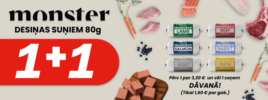 Monster 1+1